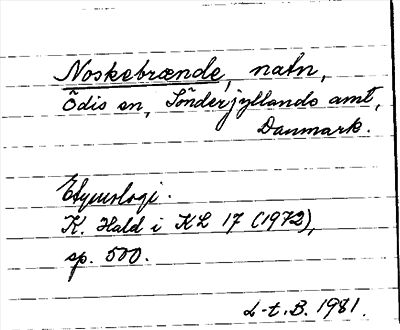 Bild på arkivkortet för arkivposten Noskebrænde