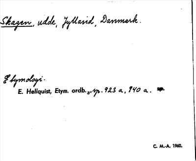 Bild på arkivkortet för arkivposten Skagen