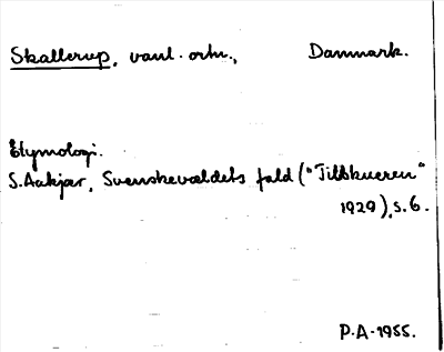 Bild på arkivkortet för arkivposten Skallerup
