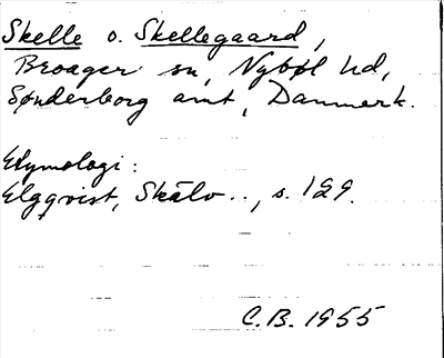 Bild på arkivkortet för arkivposten Skelle o. Skellegaard