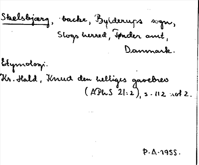 Bild på arkivkortet för arkivposten Skelsbjærg