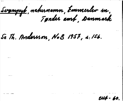 Bild på arkivkortet för arkivposten Svømpyt