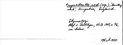 Bild på arkivkortet för arkivposten cynedealle rod