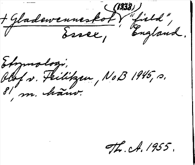 Bild på arkivkortet för arkivposten Gladewenneskot