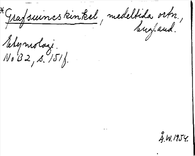 Bild på arkivkortet för arkivposten Grafsuineskinkel