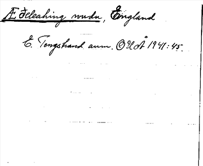 Bild på arkivkortet för arkivposten Æðeleahing wudu