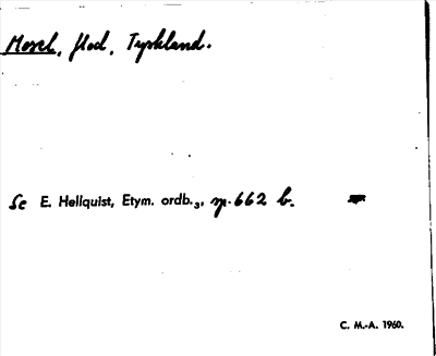 Bild på arkivkortet för arkivposten Mosel