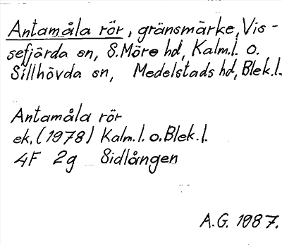 Bild på arkivkortet för arkivposten Antamåla rör