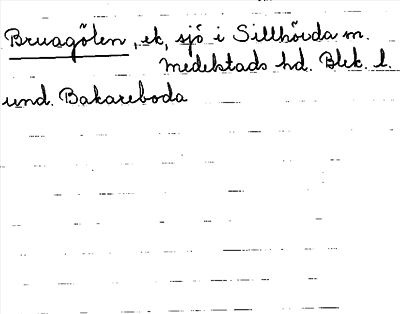 Bild på arkivkortet för arkivposten Bruagölen