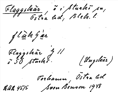 Bild på arkivkortet för arkivposten Flaggskär