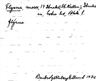 Bild på arkivkortet för arkivposten Flyena