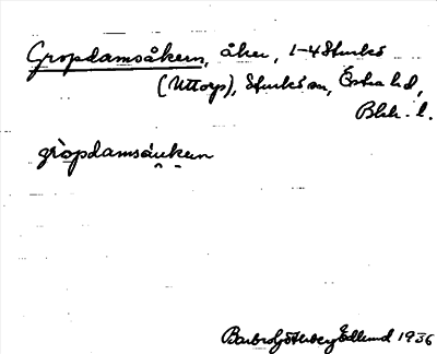 Bild på arkivkortet för arkivposten Gropdamsåkern