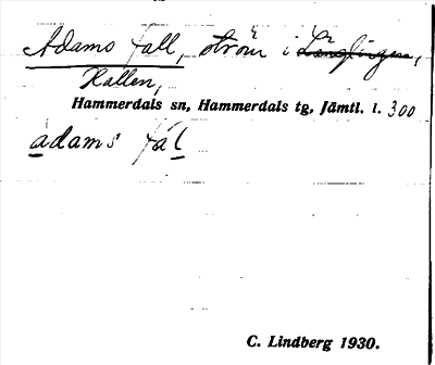Bild på arkivkortet för arkivposten Adams fall