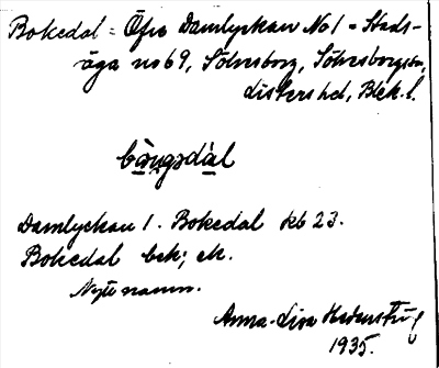 Bild på arkivkortet för arkivposten Bokedal = Öfre Damlyckan no. 1