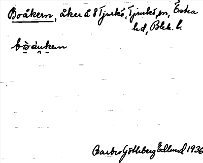 Bild på arkivkortet för arkivposten Boåkern