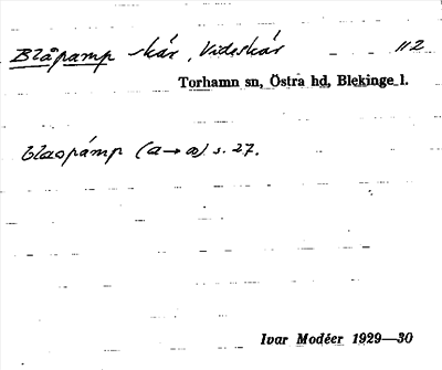 Bild på arkivkortet för arkivposten Blåpamp