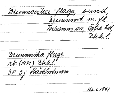 Bild på arkivkortet för arkivposten Brunnsvika flage