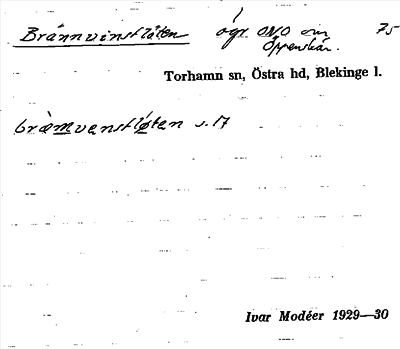 Bild på arkivkortet för arkivposten Brännvinsflöten