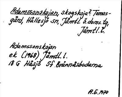 Bild på arkivkortet för arkivposten Adamssonskojan