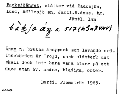 Bild på arkivkortet för arkivposten Backsjöänget