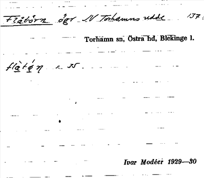 Bild på arkivkortet för arkivposten Flåtörn