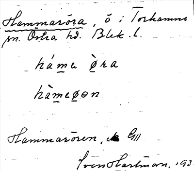 Bild på arkivkortet för arkivposten Hammaröra