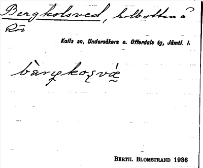 Bild på arkivkortet för arkivposten Bergkolsved