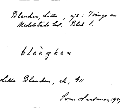 Bild på arkivkortet för arkivposten Blanken, Lilla