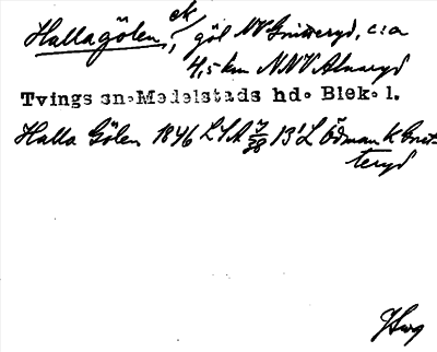 Bild på arkivkortet för arkivposten Hallagölen