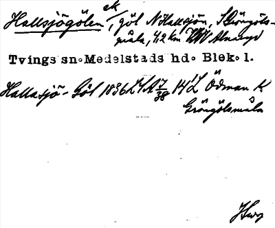 Bild på arkivkortet för arkivposten Hallsjögölen