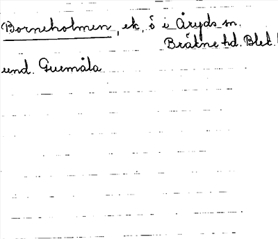 Bild på arkivkortet för arkivposten Borneholmen
