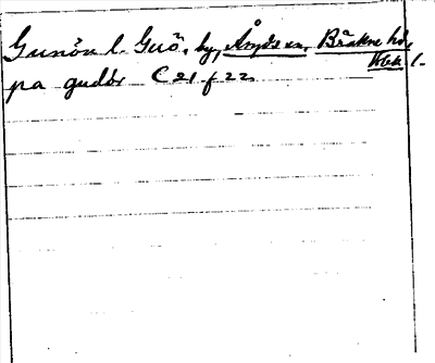 Bild på arkivkortet för arkivposten Gunön l. Guö