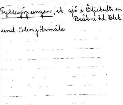 Bild på arkivkortet för arkivposten Fyllesjöpungen