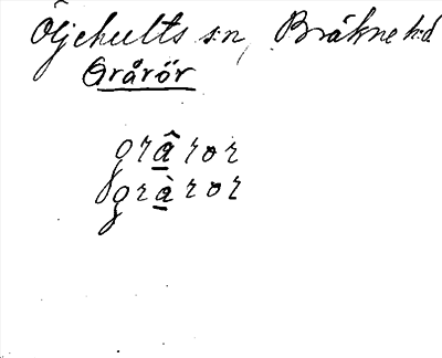 Bild på arkivkortet för arkivposten Grårör