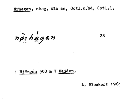Bild på arkivkortet för arkivposten Nyhagen