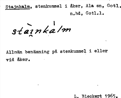Bild på arkivkortet för arkivposten Stajnkalm