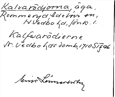 Bild på arkivkortet för arkivposten Kalvarödjorna