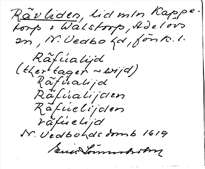 Bild på arkivkortet för arkivposten Rävliden