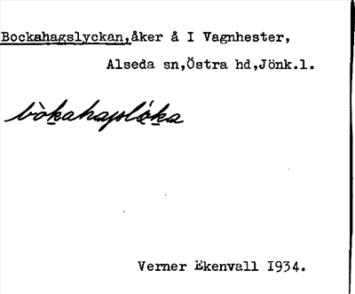 Bild på arkivkortet för arkivposten Bockahagslyckan