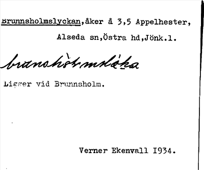 Bild på arkivkortet för arkivposten Brunnsholmslyckan
