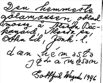 Bild på arkivkortet för arkivposten Den hemmeste gölamossen