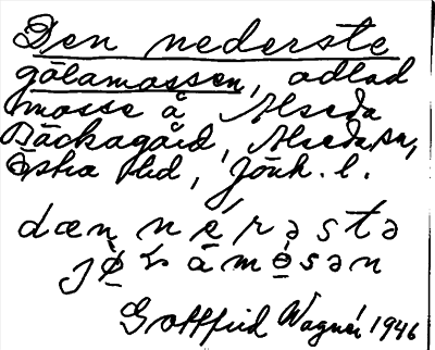 Bild på arkivkortet för arkivposten Den nederste gölamossen