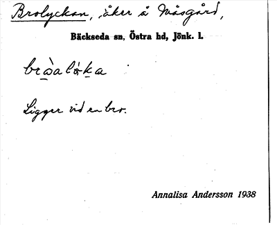Bild på arkivkortet för arkivposten Brolyckan