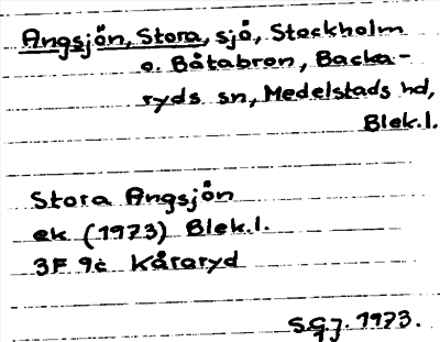 Bild på arkivkortet för arkivposten Angsjön, Stora