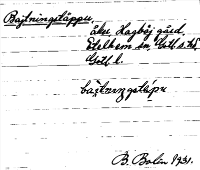 Bild på arkivkortet för arkivposten Bajtningstäppu