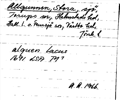 Bild på arkivkortet för arkivposten Allgunnen, Stora