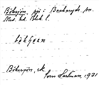 Bild på arkivkortet för arkivposten Böksjön