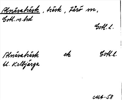 Bild på arkivkortet för arkivposten Alnäsaträsk