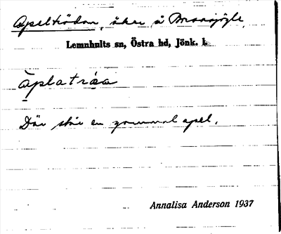 Bild på arkivkortet för arkivposten Apelträdan