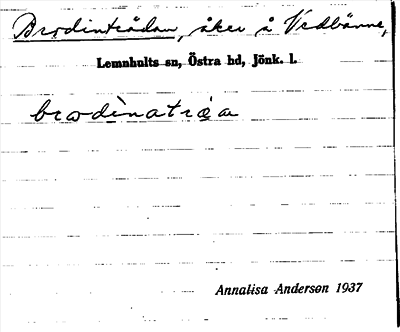 Bild på arkivkortet för arkivposten Brodinträdan